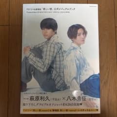 TVドラマ&劇場版 美しい彼 公式ビジュアルブックのサムネイル