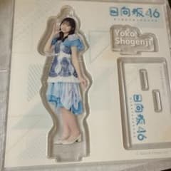 正源寺陽子　アクリルスタンドのサムネイル