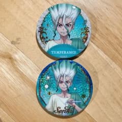Dr.STONE】石神千空 きらきら缶バッジコレクション タロット - メルカリ
