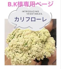 B.K様専用ページのサムネイル