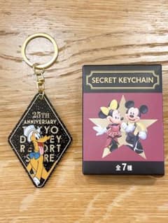 ディズニーストア 東京ディズニーリゾート店 25周年 シークレット