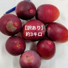 【訳あり】宮崎県産完熟マンゴー　約3キロのサムネイル