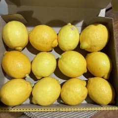 米糠のみで育ったレモン③のサムネイル