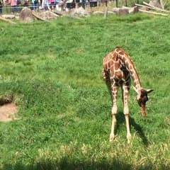 caco様専用のサムネイル