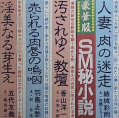 絶版】秘小説95年9月 結城彩雨 香山洋一 前田寿按 楡畑雄二 椋陽児 乾 