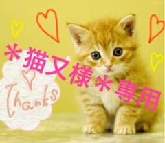 ＊猫又様＊専用のサムネイル