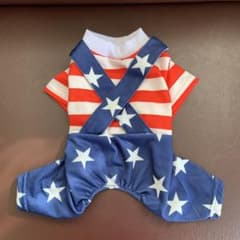 犬　洋服　XSサイズのサムネイル