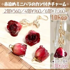 速達☆めええい様専用】ドライフラワー✧赤染めミニ薔薇のカン付き