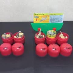 戦闘機 第3弾 バラのサムネイル