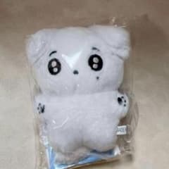 ドギョム 10cm ぬいぐるみ 新品 マスター セブチ svt - メルカリ