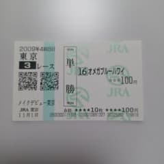 2009年メイクデビュー東京 オメガブルーハワイ 現地馬券 B350 - メルカリ