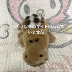 オリエンタルトーイ　ワニ　ぬいぐるみ　中古品 m60419009652_1.jpg?1765575276