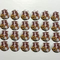 ウマ娘 缶バッジ メイショウドトウ 24個 - メルカリ