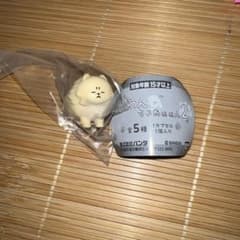 怒ったわんちゃぁぁん2 ボサボサになって怒ってるわんちゃんのサムネイル