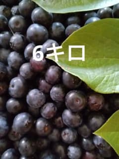 冷凍ブルーベリーのサムネイル