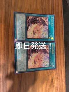 遊戯王 烙印の気炎 ウルトラ 2枚セット - メルカリ