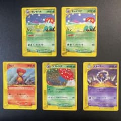 ポケモンカードe キラ 5枚 スターミー キレイハナ ブビィ ラフレシア 等 ポケモンカードe キラ 5枚 スターミー キレイハナ ブビィ ラフレシア