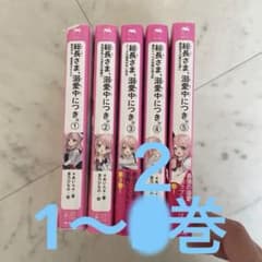 総長さま、溺愛中につき。1、2巻のサムネイル