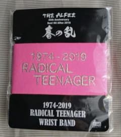 THE ALFEE リストバンド - メルカリ