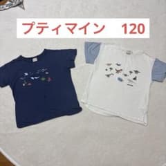 値下げ　Petit main 恐竜と海の生き物 Tシャツ2枚セット 120のサムネイル