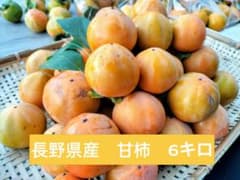 長野県産 甘柿 6キロのサムネイル