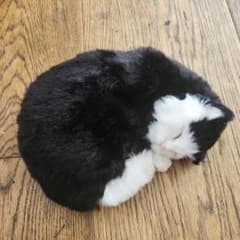 黒白の丸まったぬいぐるみのサムネイル