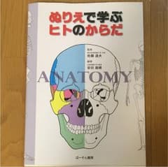 ぬり絵で学ぶ ヒトのからだのサムネイル