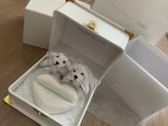 リングピローのサムネイル