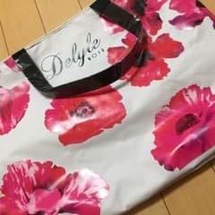 デイライルノアール 福袋 バッグのみのサムネイル