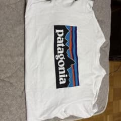 飛*機様 Patagonia パタゴニア Tシャツ ホワイトのサムネイル