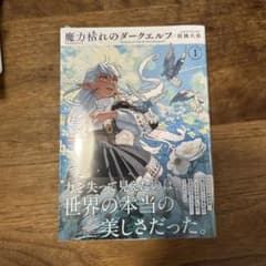 初版 帯付き シュリンク付き 魔力枯れのダークエルフ 1巻 - メルカリ