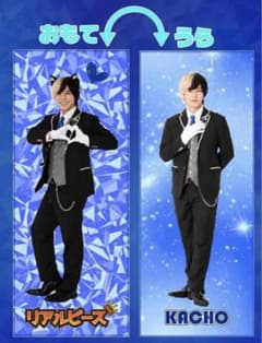 蜂*様 リアルピース　ロングクッション　GiGO限定　かちょーのサムネイル