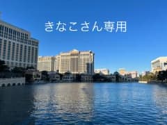 きなこさん専用です。のサムネイル