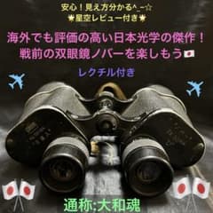 m60465288981_1.jpg?1744464317