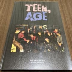 最終値下げ teen,age seventeen アルバムのサムネイル