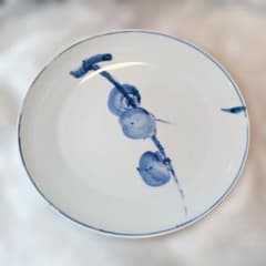和食器 染付 柿絵 皿 プレート 木箱入り