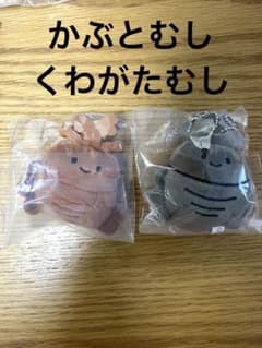 にっこりーノ　昆虫のぬいぐるみ　かぶとむし くわがたむし クオリアのサムネイル