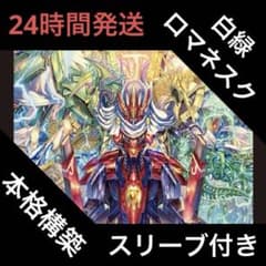 【最終値下・24時間以内発送】デュエマ　白緑ロマネスク　デッキ　調整パーツ付 白緑ロマネスク デッキ - メルカリ