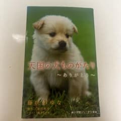 天国の犬ものがたり 〜ありがとう〜 小学館ジュニア文庫のサムネイル