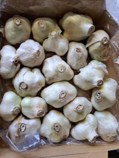 乾燥ニンニク(1kg)のサムネイル