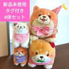 忠犬もちしば　セット