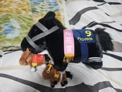 競走馬ぬいぐるみセット（桜花賞付き）のサムネイル