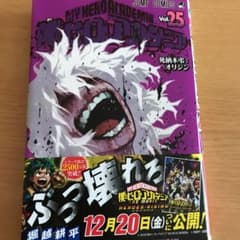 僕のヒーローアカデミア 25のサムネイル