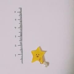 うさこ様専用 おほしさまピアスのサムネイル