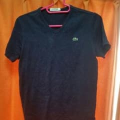 ラコステTシャツのサムネイル