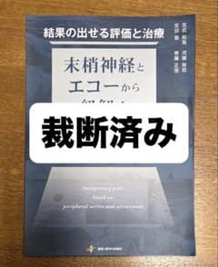結果の出せる評価と治療 : 末梢神経とエコーから紐解く痛みの解釈