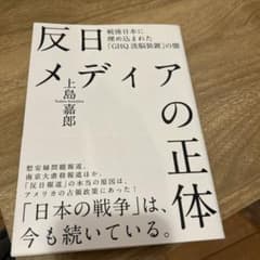 反日メディアの正体のサムネイル