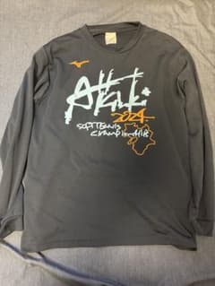 ソフトテニス 2024 ALL KINKI ロンt Lサイズのサムネイル