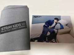 STRAYKIDS World Tour RUN IT JAPAN フォトカードのサムネイル