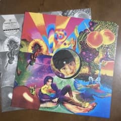美品］家庭教師 岡村靖幸 【完全生産限定盤】白黒ジャケ スリーブ付